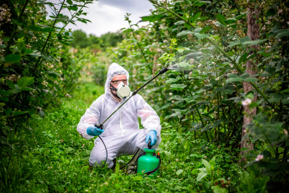 Residui di pesticidi nei prodotti alimentari