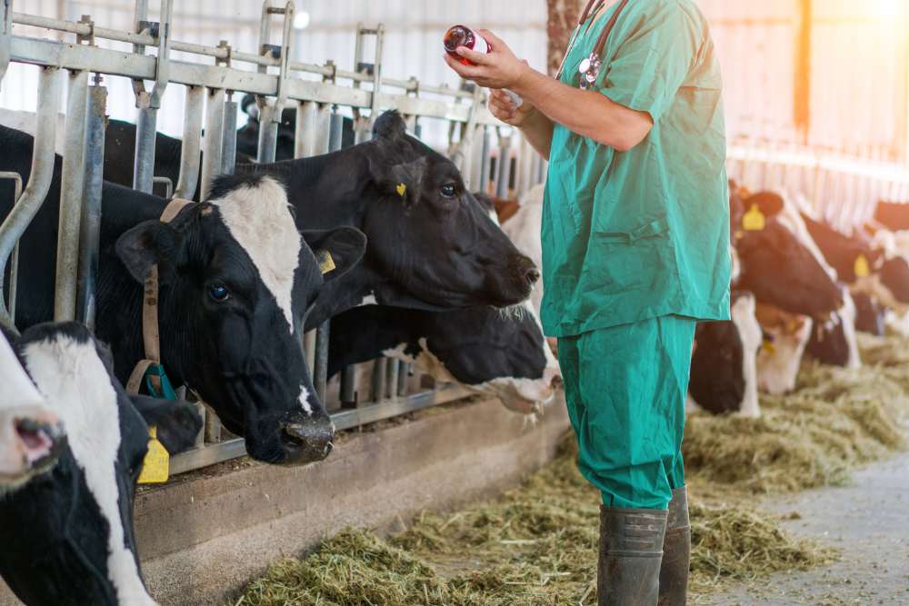 normativa sui farmaci veterinari